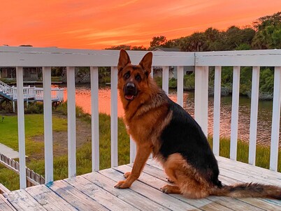 Partial OCEAN VIEW! Fenced yard bring doggo. WaterFront DOCK Fishing