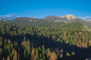 Unclassified image, 5 of 8, button