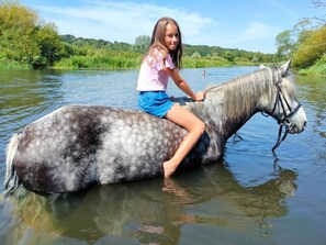 Douche, papier toilette