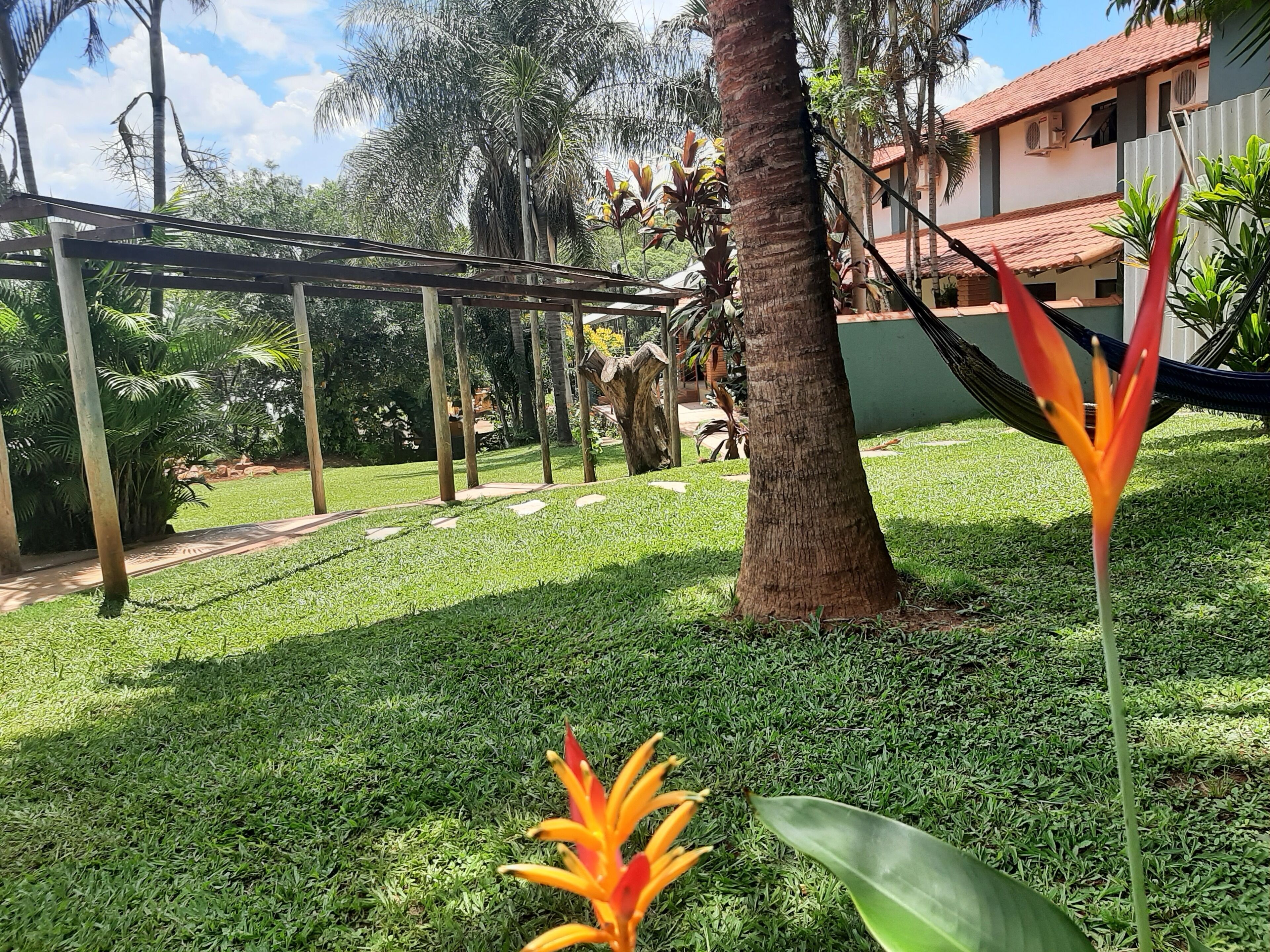 Un jardín bien cuidado con una hamaca, palmeras y un sendero que lleva a un edificio con techo de tejas rojas.