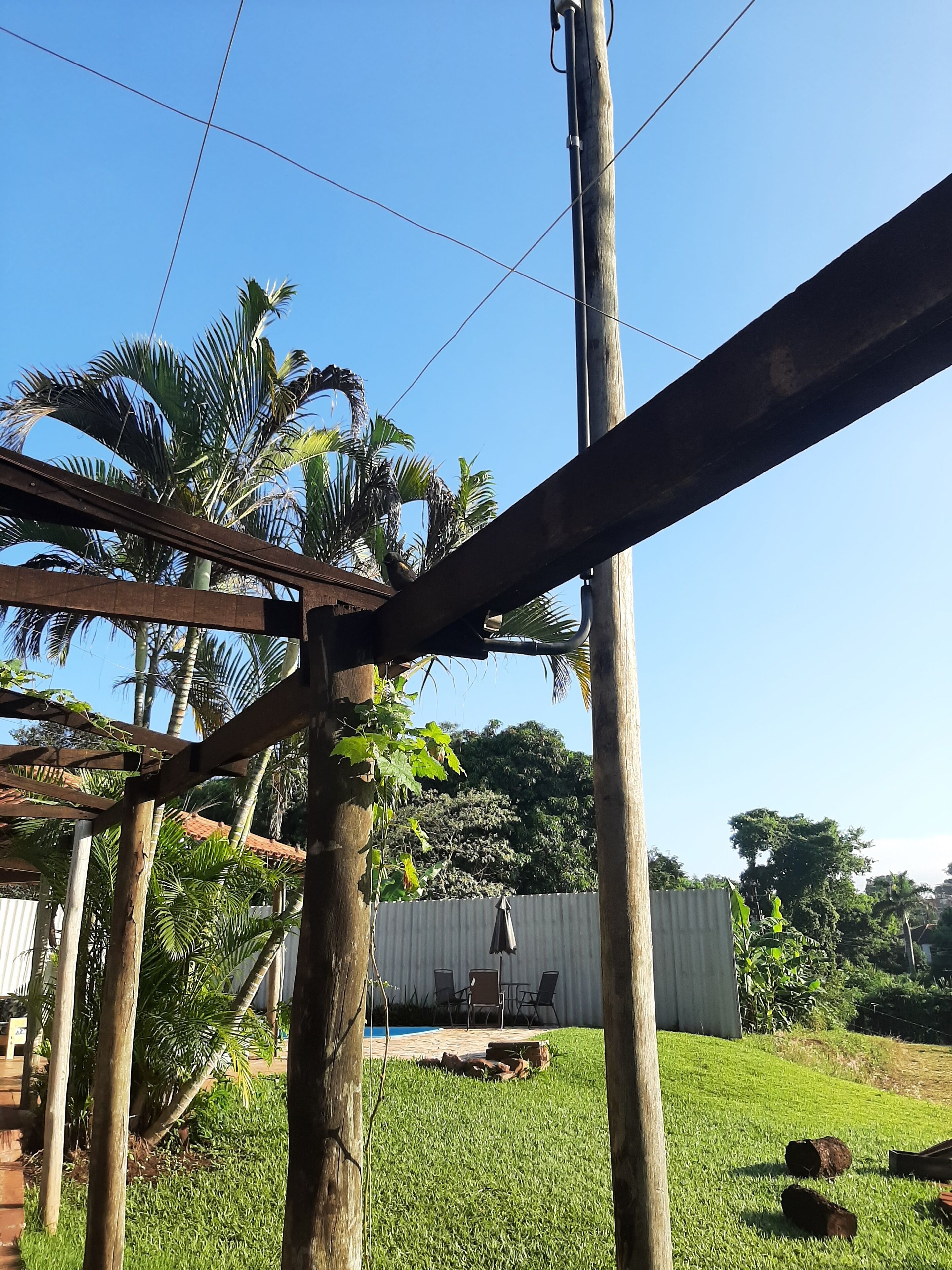 Una estructura de pérgola de madera con una viga metálica, rodeada de césped exuberante y palmeras.