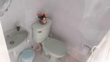 Shower, towels, soap, toilet paper