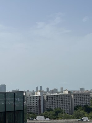 Unclassified image, 4 of 5, button