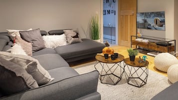 TV, fireplace, video games, DVD player