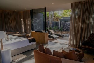 Studio Suite (SPA SUITE) | View from room