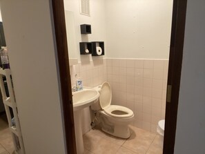 Combined shower/tub - Sol y playa 316 condominium (Rincon)