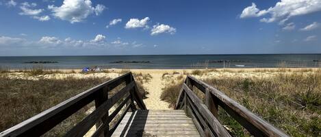 ビーチの近く、サンラウンジャー、ビーチタオル