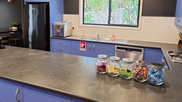 A modern kitchen with a built-in dishwasher, a window with a view of greenery, and jars of tea on the counter. - Blue Wren Lodge Waratah (Waratah West)