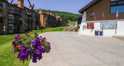 Ski-in/out gem with balcony, fast WiFi, modern decor & full kitchen