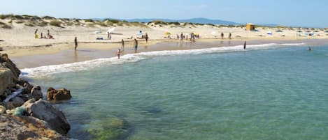 Plage à proximité