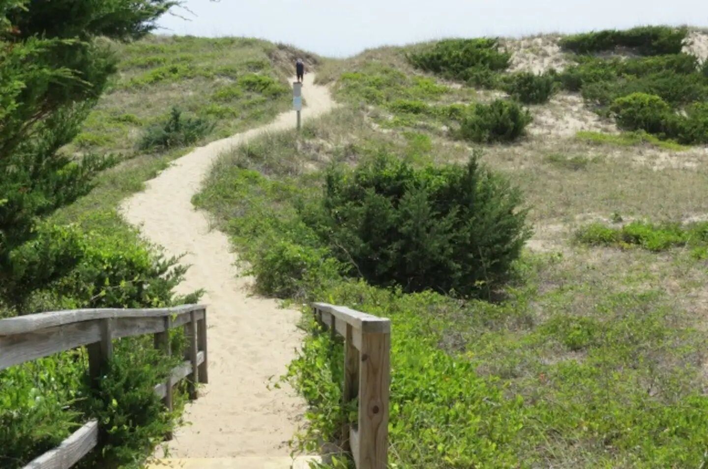 Un sendero arenoso que asciende con una valla de madera a un lado y follaje al otro.