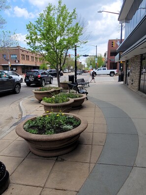 Property grounds - Spacious mobile home with large kitchen/living area and porch with barbeque. (Longmont)