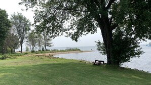 Une zone herbeuse avec une table de pique-nique, située près d’une étendue d’eau et entourée d’arbres.