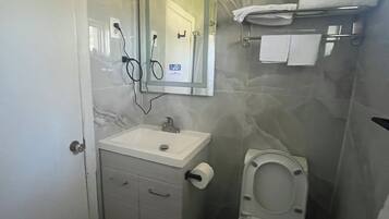 A bathroom with a toilet, sink, and mirror.