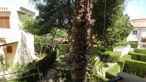 Un jardin bien entretenu, avec un palmier, des haies soigneusement taillées et un chemin.