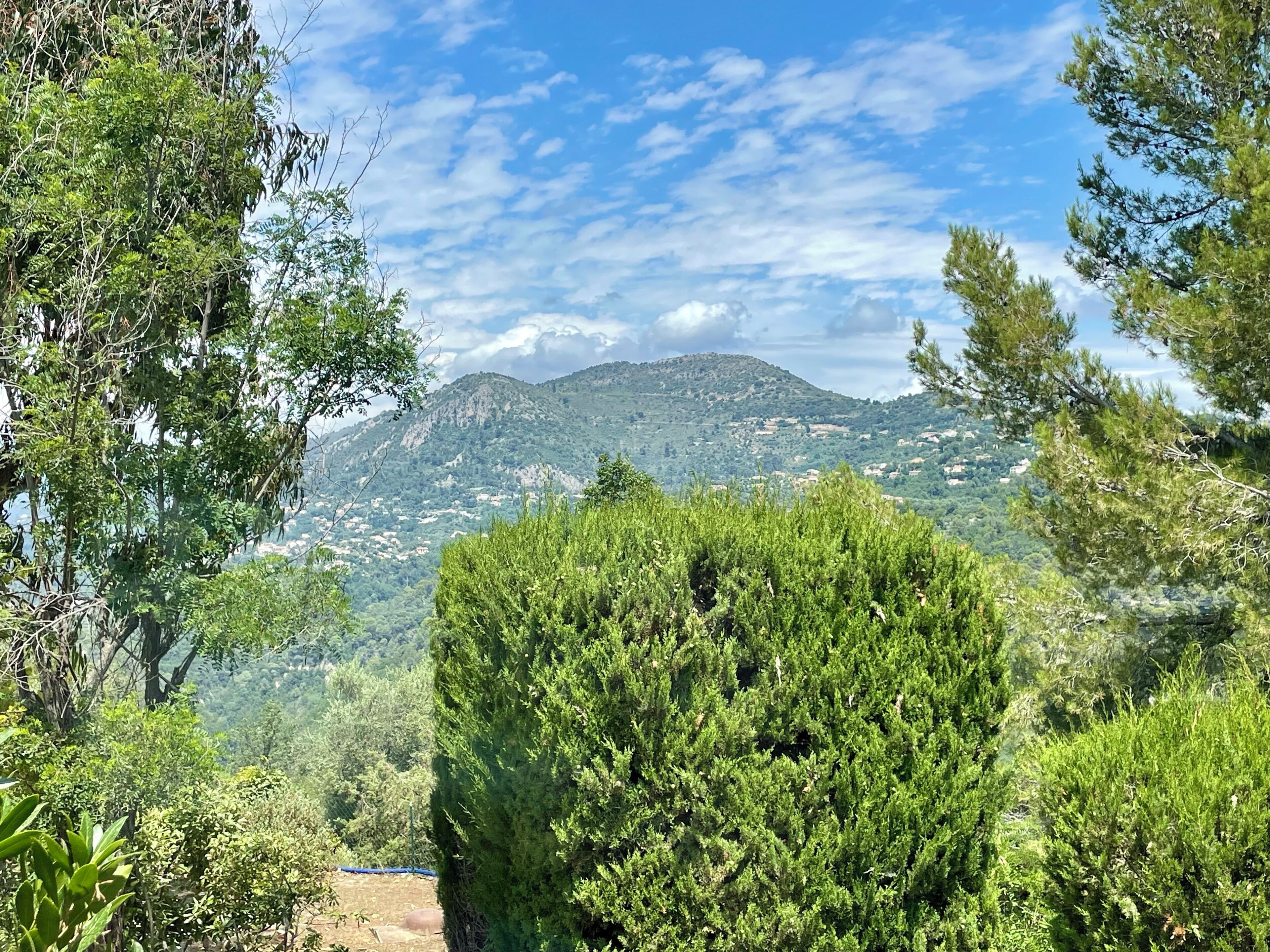 Vue sur les montagnes