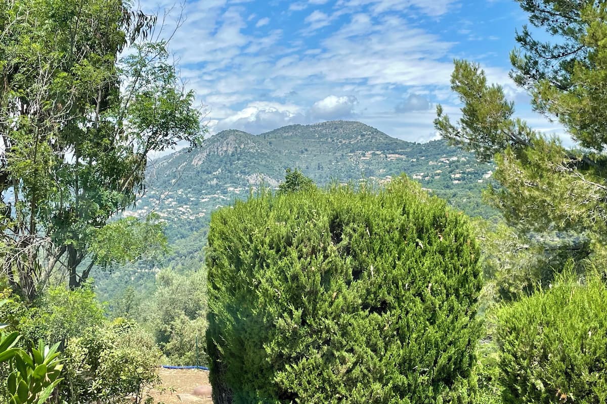 Un paisaje montañoso con abundante vegetación y cielo despejado.