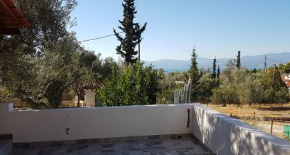 Ferienwohnung Panorama2