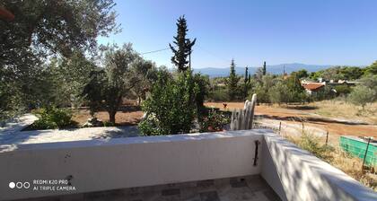 Ferienwohnung Panorama2