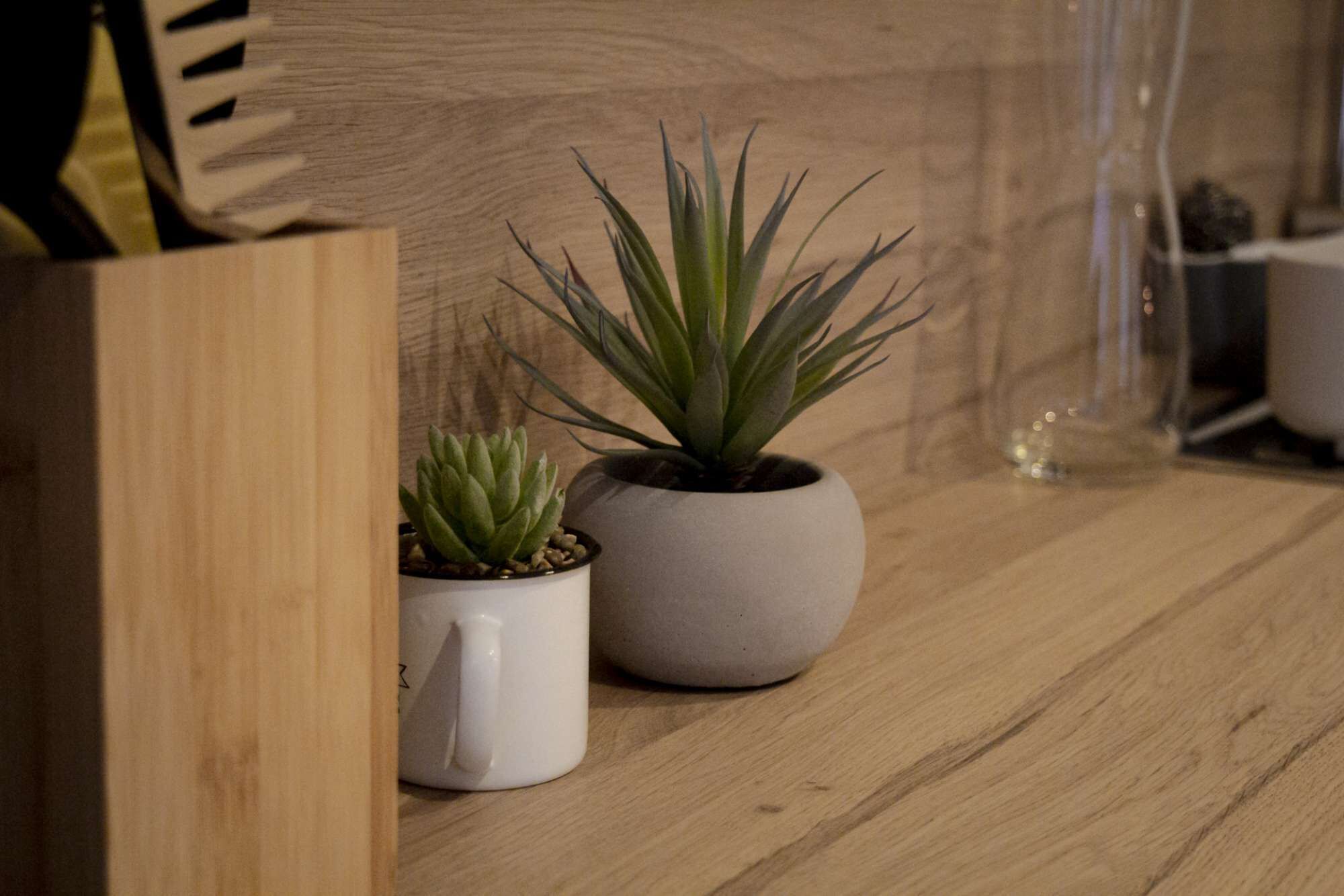 Two potted plants on a wooden surface.