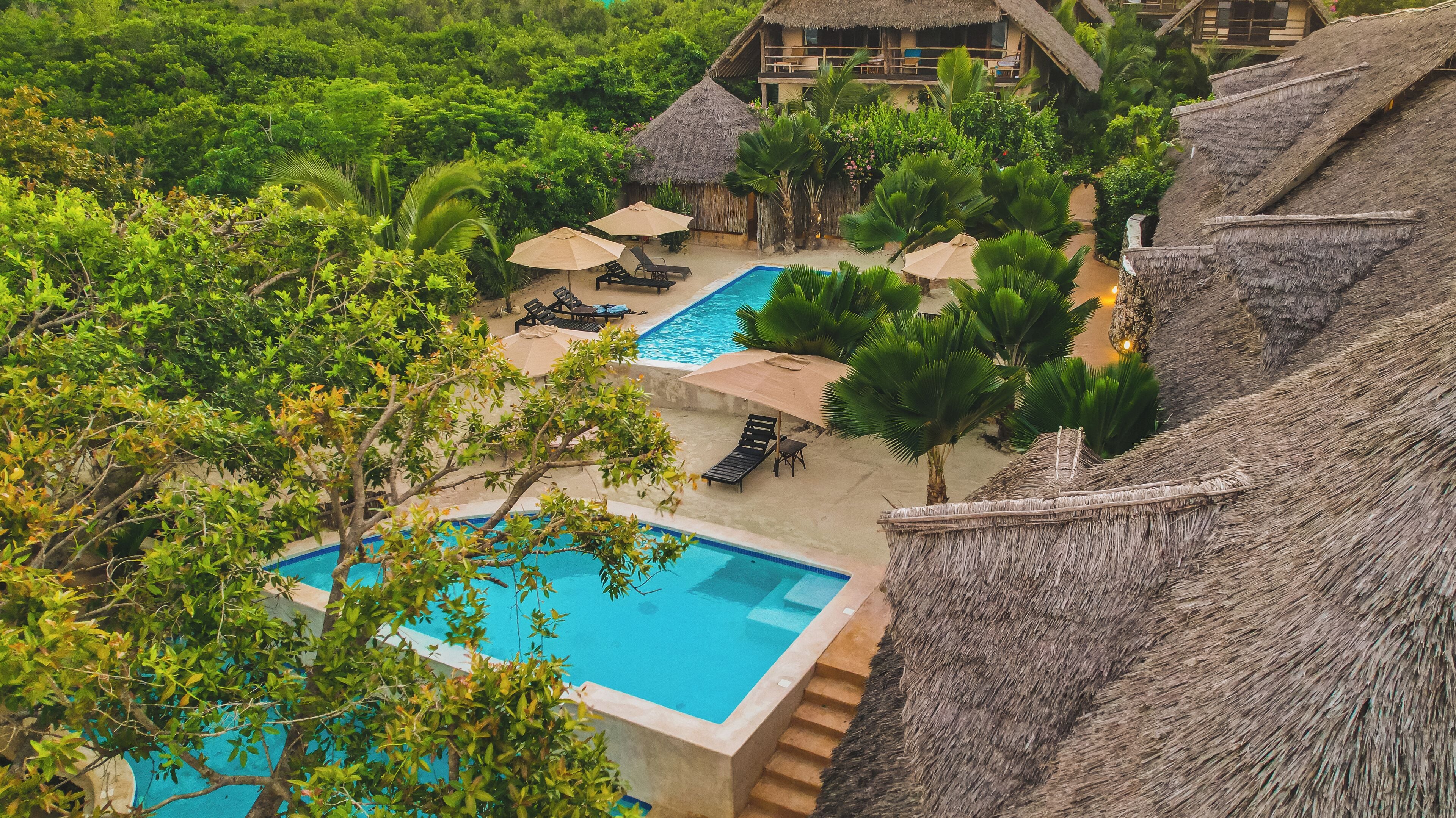 Resort com piscina, espreguiçadeiras e edifícios com telhados de palha, tudo envolto em vegetação exuberante.