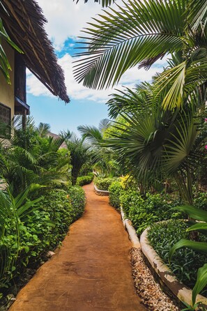 Jardim