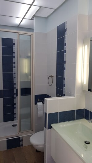 シャワー、ヘアドライヤー、トイレットペーパー