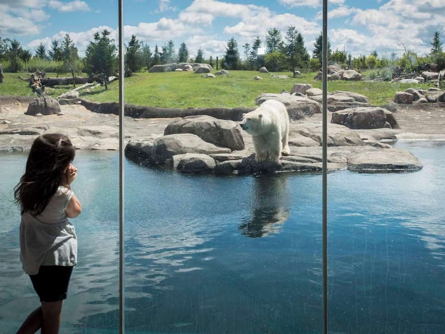 Children's activities