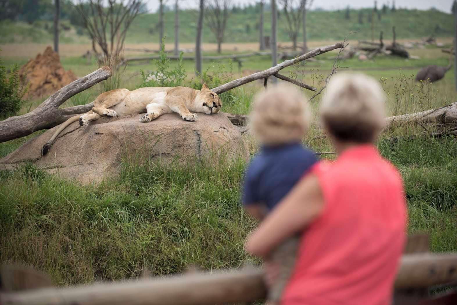 children’s activities