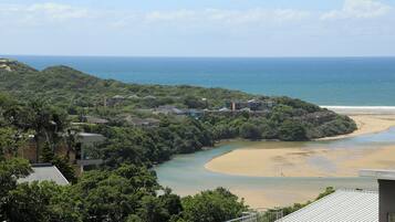 A coastal property with a beach, dense greenery, and a view of the ocean.