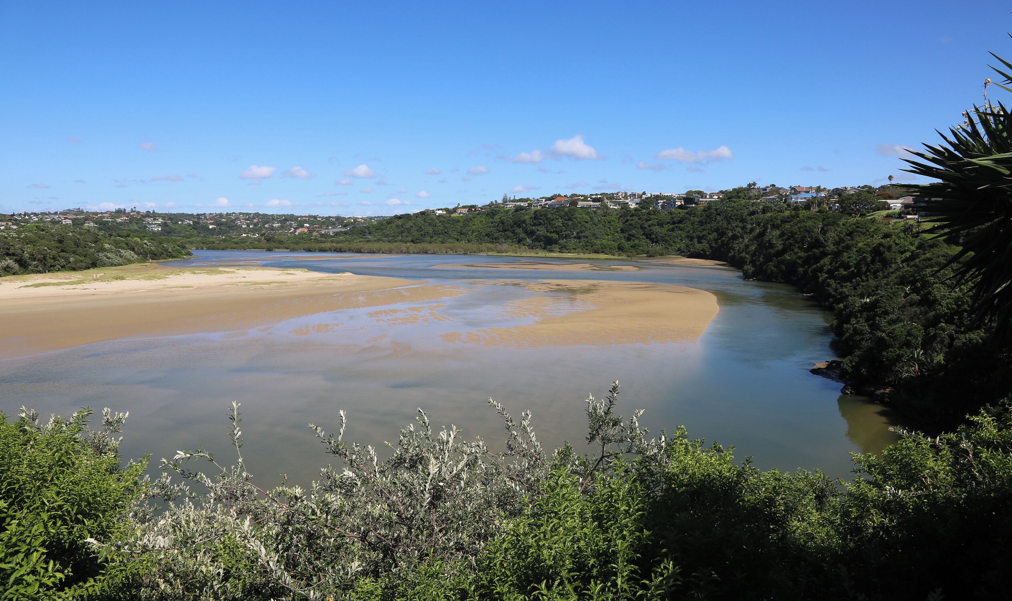 A river with a sandy beach and dense greenery on both sides.