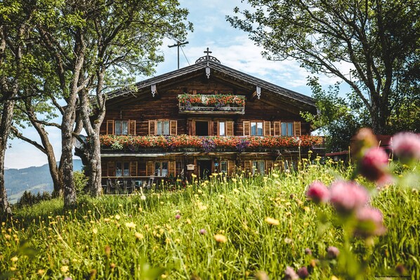 Udendørsområde