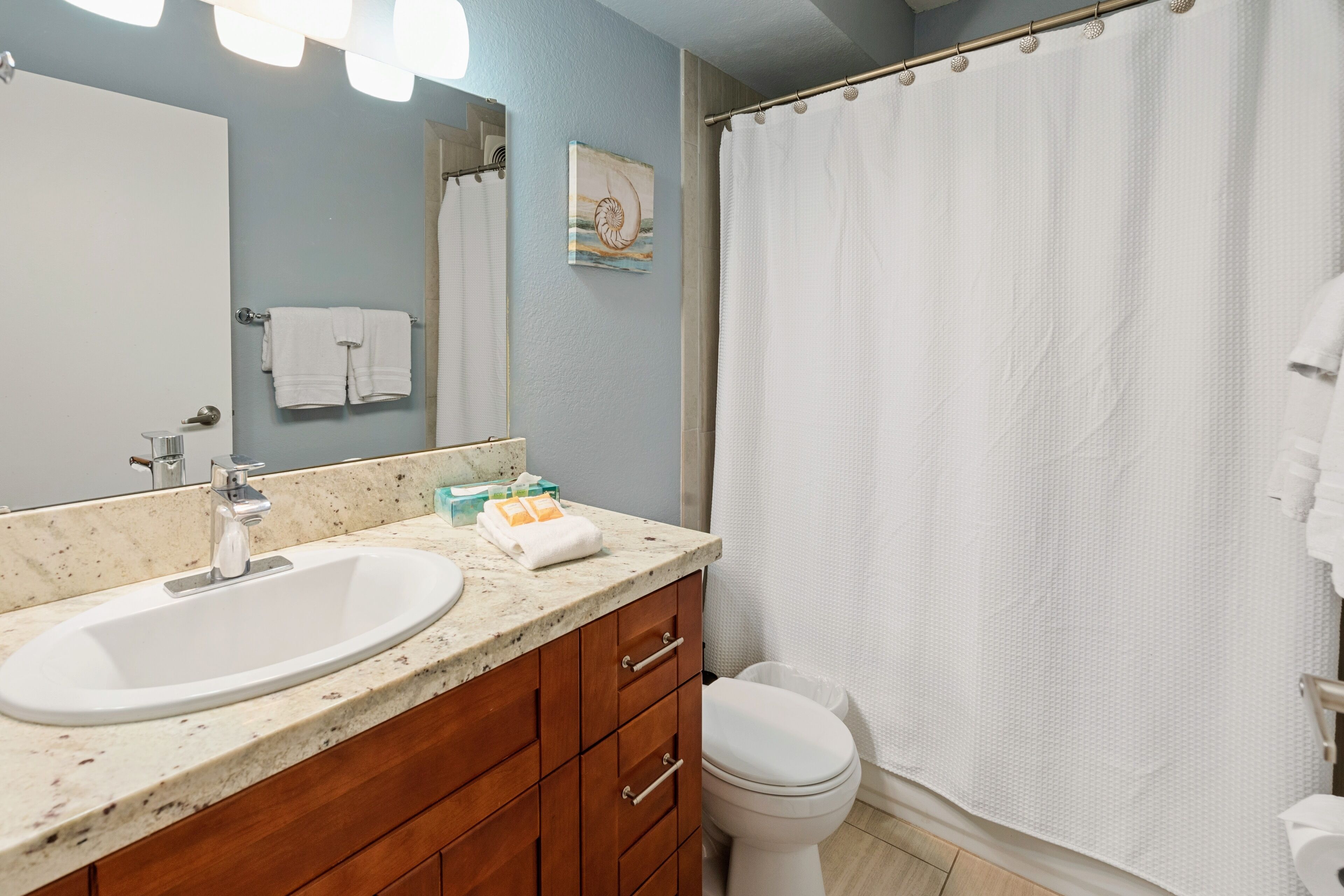 Combined shower/tub, hair dryer, towels, soap