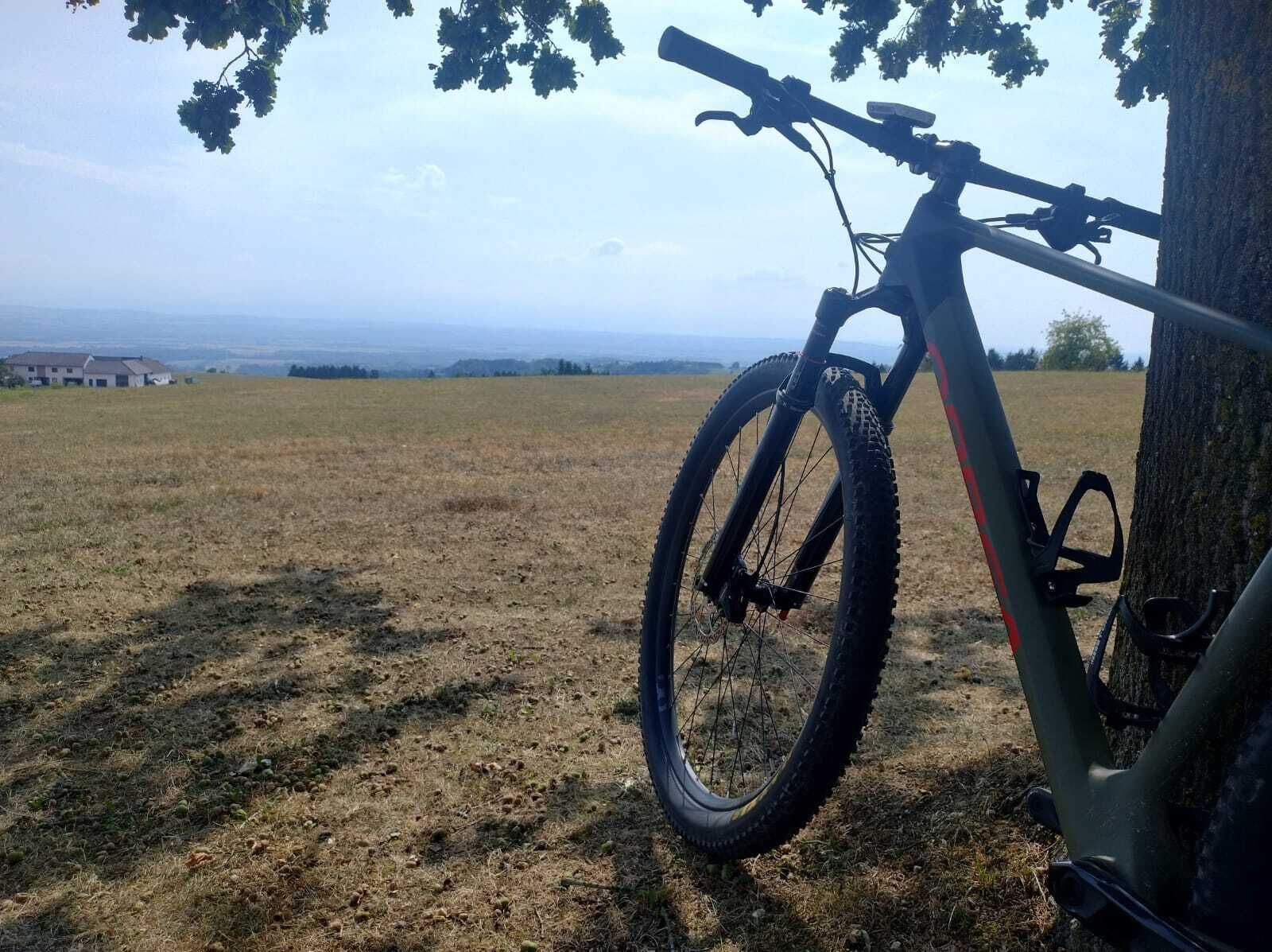 Una bicicleta de montaña apoyada en un árbol en un campo cubierto de hierba, con vistas a viviendas en la distancia.