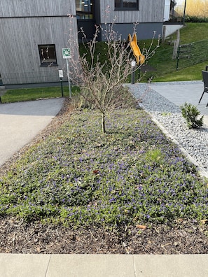 A landscaped garden with a small tree and purple flowers, a playground, and a modern building with a gray facade. - Best Western Parkhotel Hagenberg (Hagenberg im Mühlkreis)