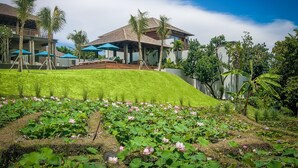 Un resort con piscina, palmeras y un edificio de techo inclinado.