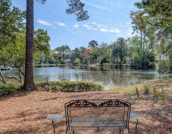 A bench overlooking a lake with trees and a clear sky. - Something for everyone- private pool on the water and pool table! (Hilton Head)