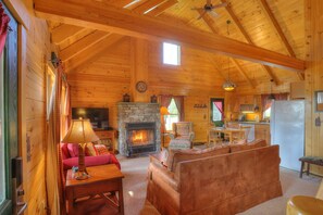 Televisión, chimenea y reproductor de DVD 