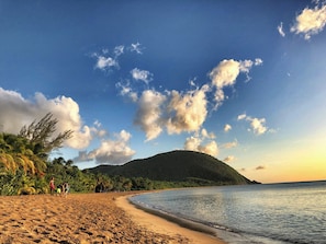 Uma praia com céu limpo, palmeiras e uma montanha ao fundo.