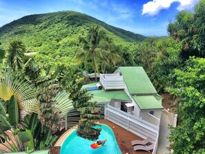 Pool - Exotic & Tropical Gites (Deshaies)