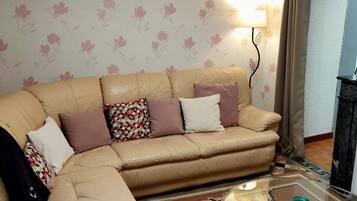 Télévision, cheminée, livres