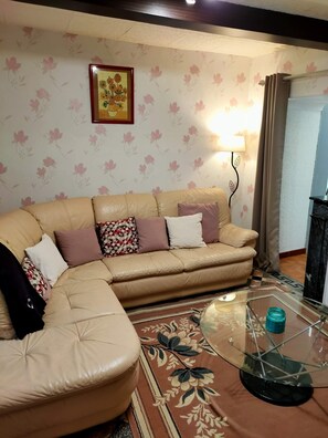 TV, fireplace, books