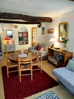 TV, fireplace, books - Spacious house with courtyard in the village centre (Aigne)