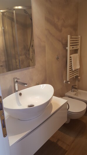 Shower, hair dryer, bidet, towels