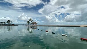 A calm waterfront with a thatched-roof structure and palm trees.