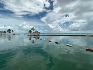 A calm waterfront with a thatched-roof structure and palm trees.