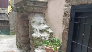 A stone wall with a potted plant on a ledge. - La Casetta in the historic center of Bomarzo (Bomarzo)