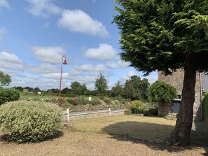 Stroll through the beautifully landscaped garden, surrounded by a variety of plants and a tranquil tree.
