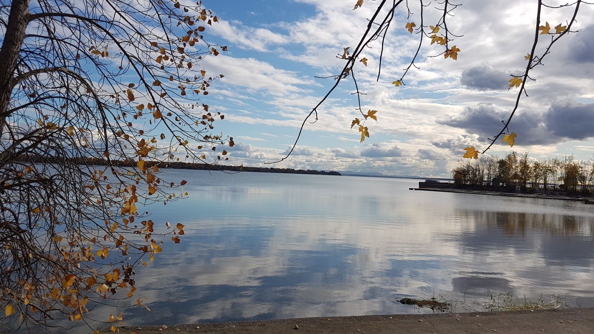 En stilla sjö med höstlöven som pryder grenarna, en klar himmel och ett avlägset landskap.