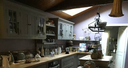 House 10 min from puy du fou and oriental park in Maulévrier